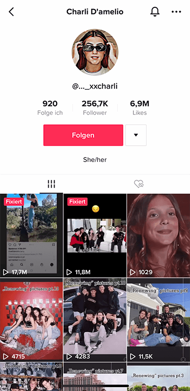 tik-tok-influencer-unbestaendigpng